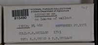Image Associated With the Occurence